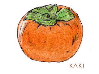 kaki