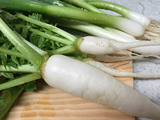 daikon